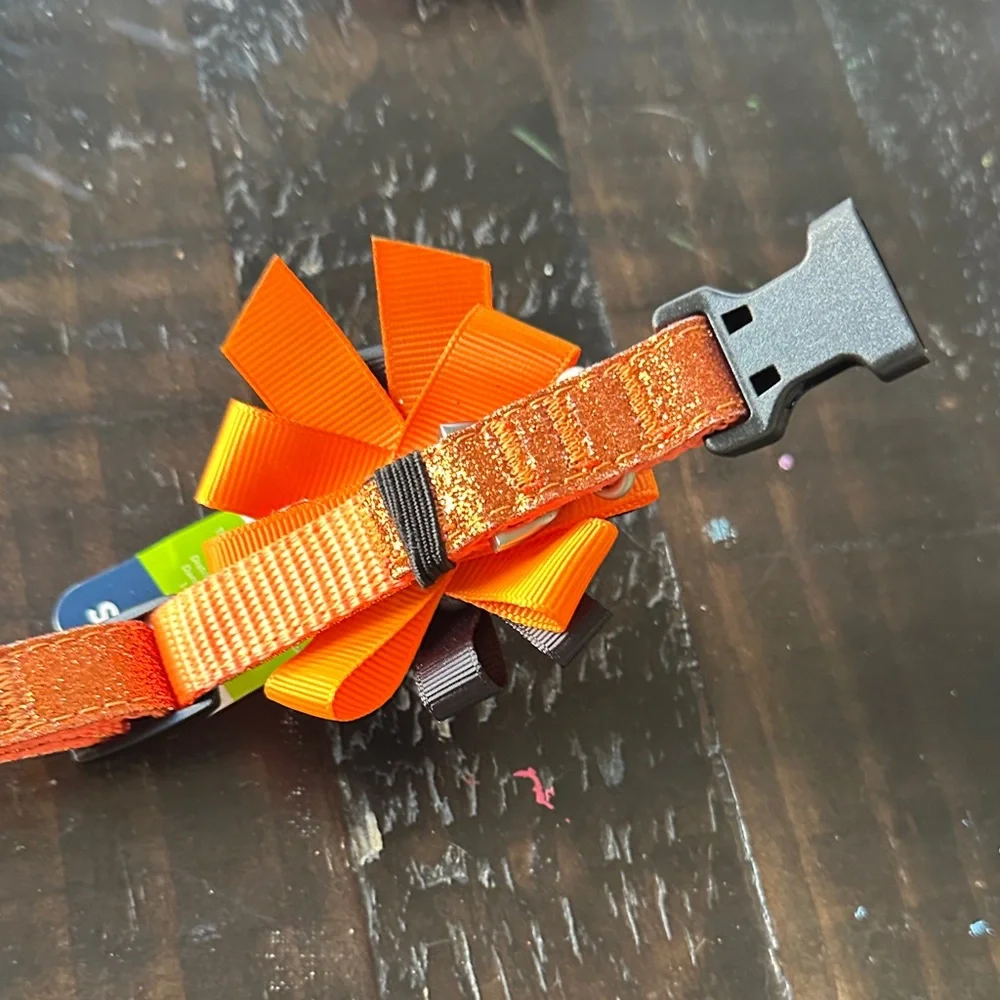 Orange and Black Halloween Dog Collar
